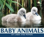 Baby Animals Of Lakes And Ponds - Booksource